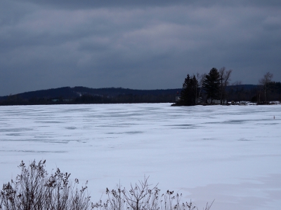[A very cloudy sky over a snow-capped frozen water mass. Stick-like vegetation can be seen in foreground and evergreens seen to one side.]